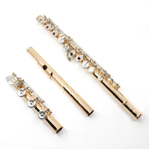 Altus A12 Flute (1207) - New