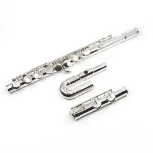 Altus Alto Flute Model 919SE - New