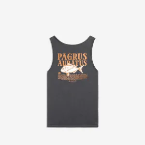 Auratus Singlet