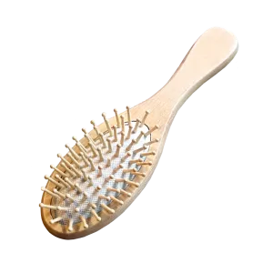 Bamboo Hairbrush