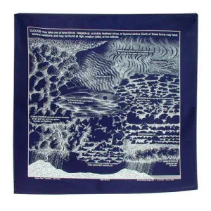 BANDANA ~ clouds