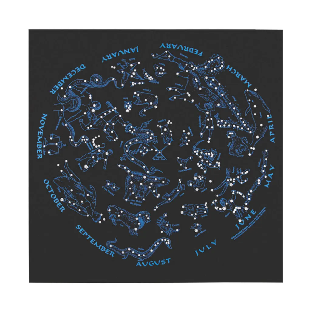 BANDANA ~  stars