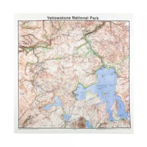 BANDANA ~ yellowstone