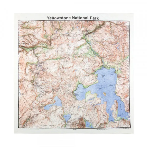 BANDANA ~ yellowstone