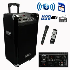 beFree Sound Sleek 10 Inch Professional Portable Bluetooth PA Speaker