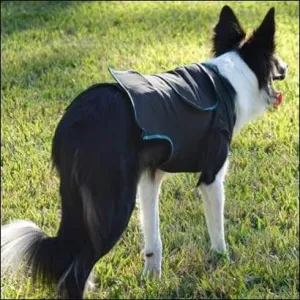 BeneFab Therapeutic Canine Comfort Shirt - Small, Medium or Large