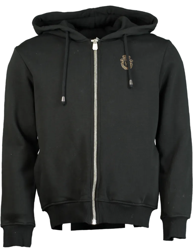 Billionaire Black Lion Print Hoodie