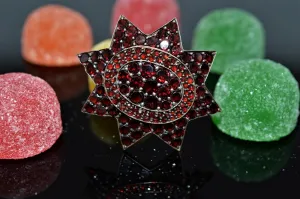Bohemian Garnet Eight Pointed Star Pendant and Brooch
