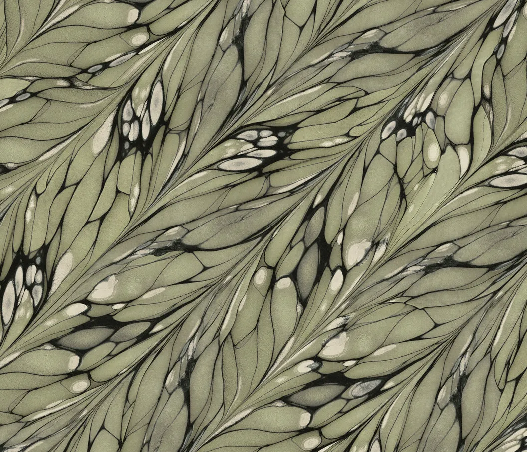 BUTTERFLY FABRIC / LEO CARRILLO