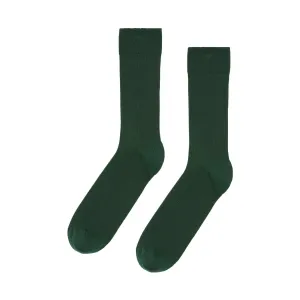 Calcetín Colorful Standard Clásico Orgánico - Emerald Green