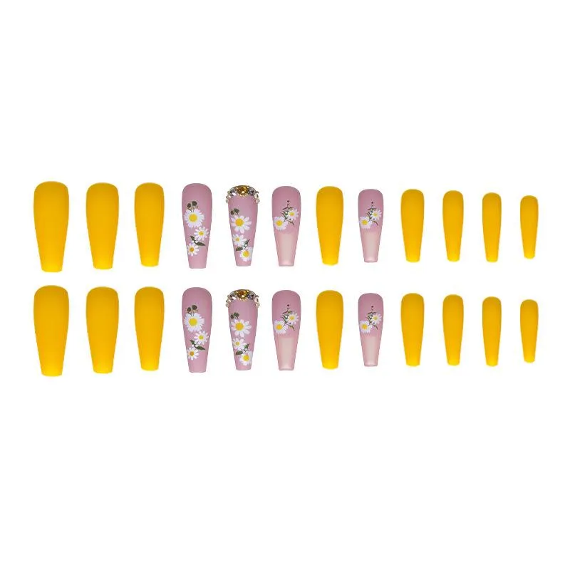 Coffin Yellow Daisy