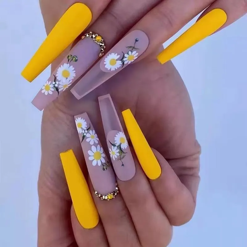 Coffin Yellow Daisy