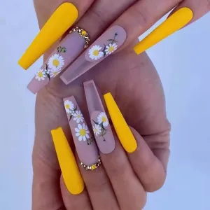 Coffin Yellow Daisy