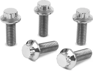 Diamond Engineering PB530S 12-Point Polished Stainless Front Brake Rotor Bolt Kit