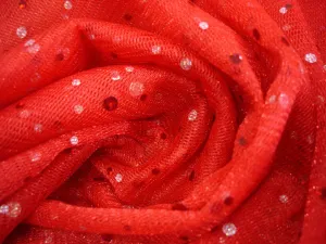 Holographic Sequin Metallic Net - Red