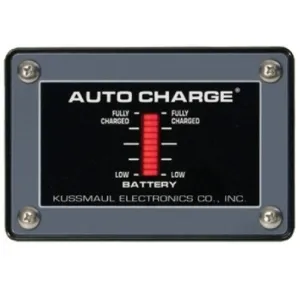 Kussmaul Single Bar Graph Display