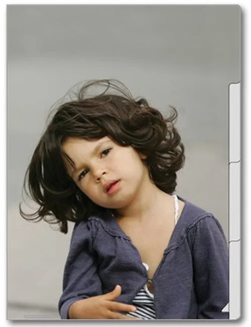Le Petit Paris File Folder - D