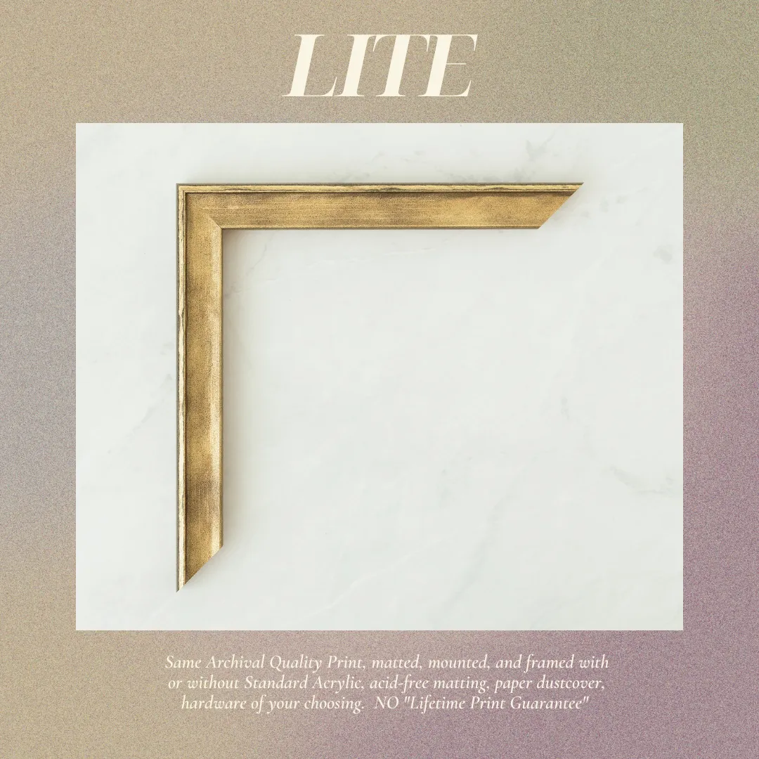 LITE Spencer (Gold)
