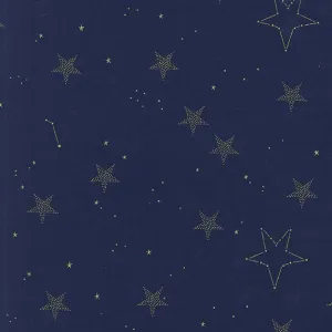 Magic Lucky Stars in Navy with Cotton Metallic by Sarah Jane for Michael Miller Fabrics