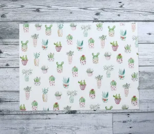 Napperon de vinyle - bébé plantes / baby plants