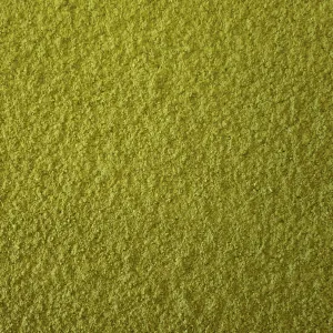 Organic Matcha   Lion's Mane by Simple Energy