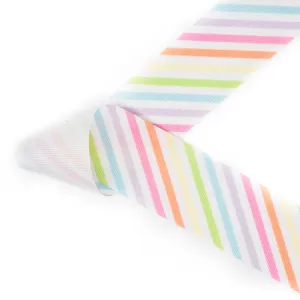 Pastel Rainbow Stripe