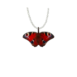 Peacock Butterfly