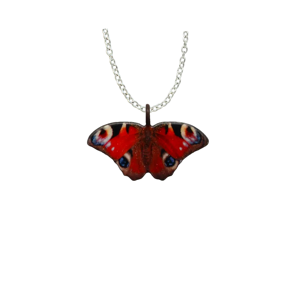 Peacock Butterfly