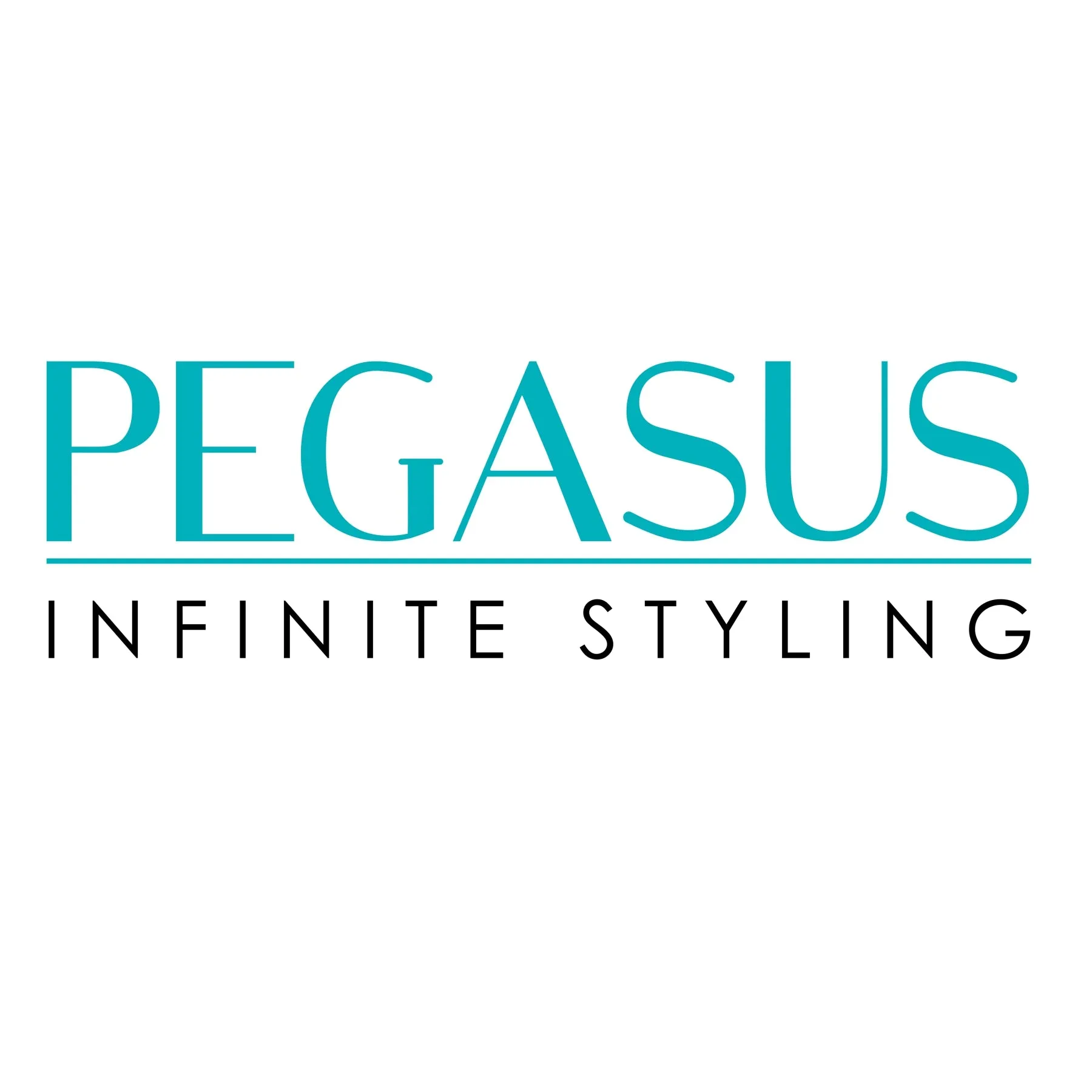 Pegasus 501, 9in Hard Rubber Handle Comb, Handmade, Seamless, Smooth Edges, Anti Static, Heat and Chemically Resistant, Wet Hair, Everyday Grooming Comb | Peines de goma dura - Black