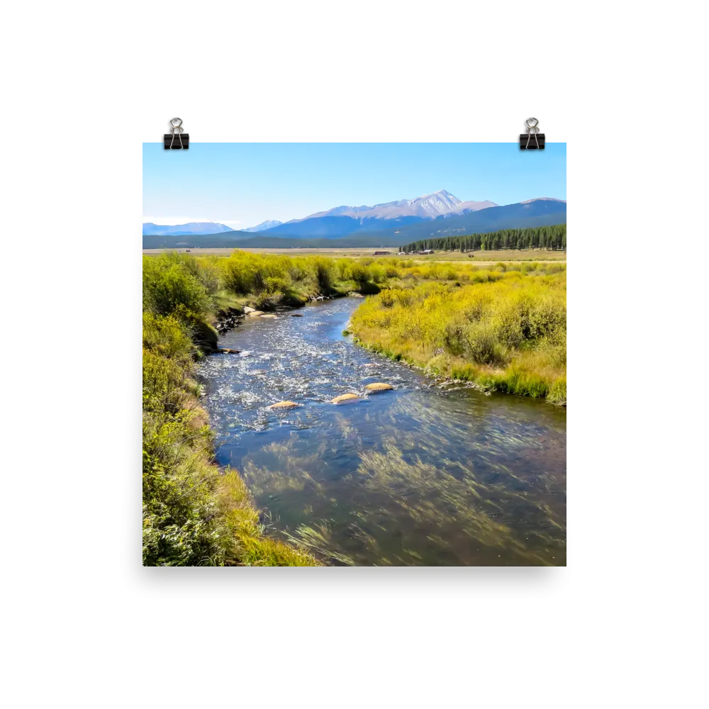 Rushing creek bordered with yellow-green foliage with Mount Elbert in background - print