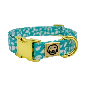 Seafoam - Dog Collar - FINAL SALE