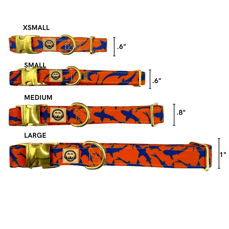 Sharks - Dog Collar