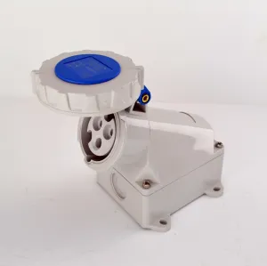 Socket Kripal 32 Amp Surface IP67 Angled