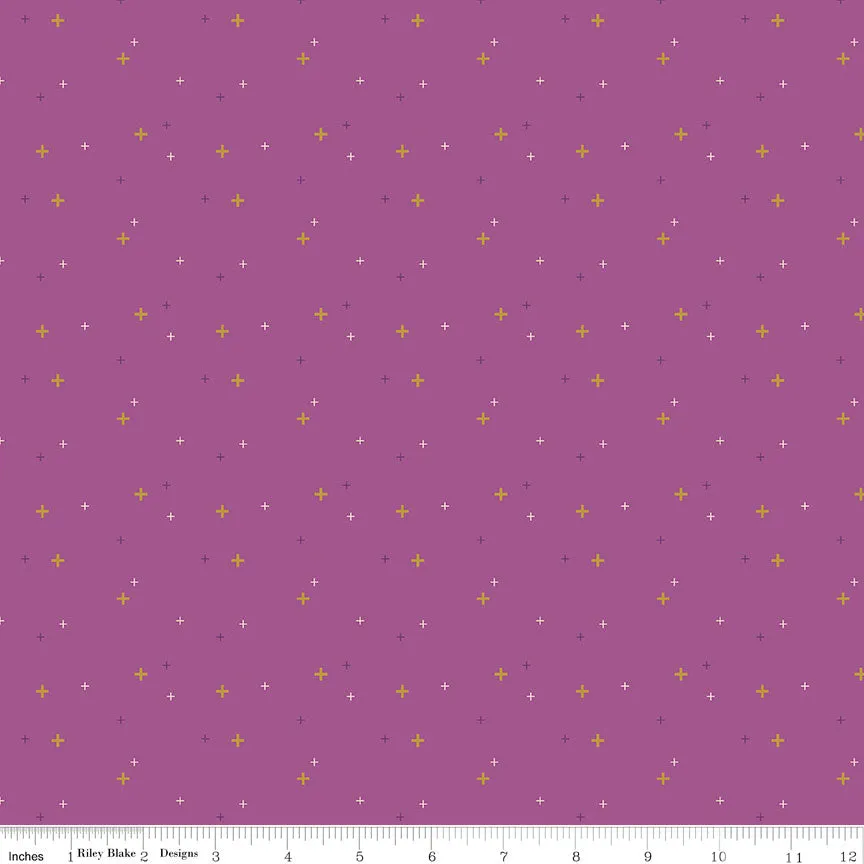 Sparkler in Orchid