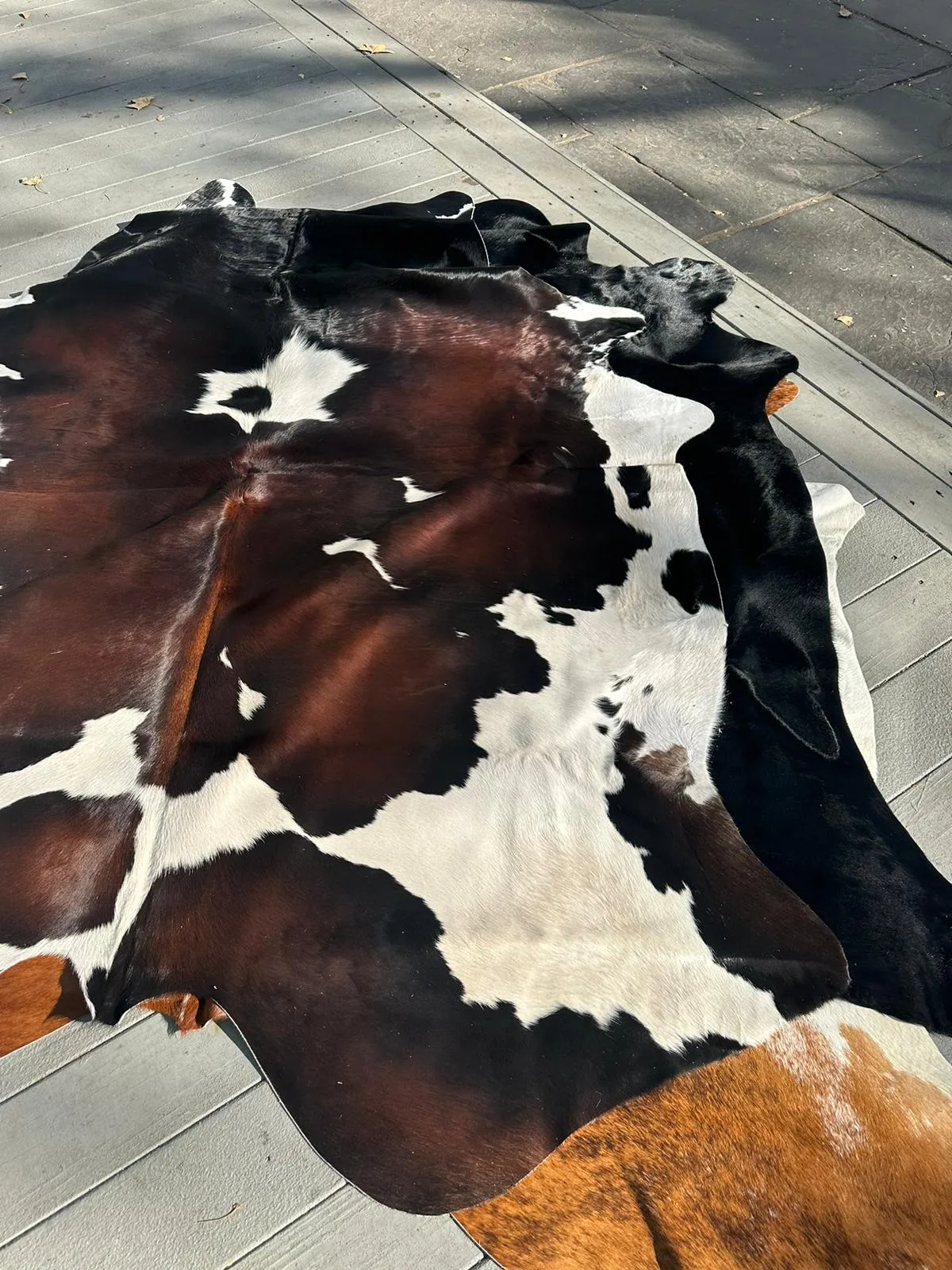 The Ranchero Rug