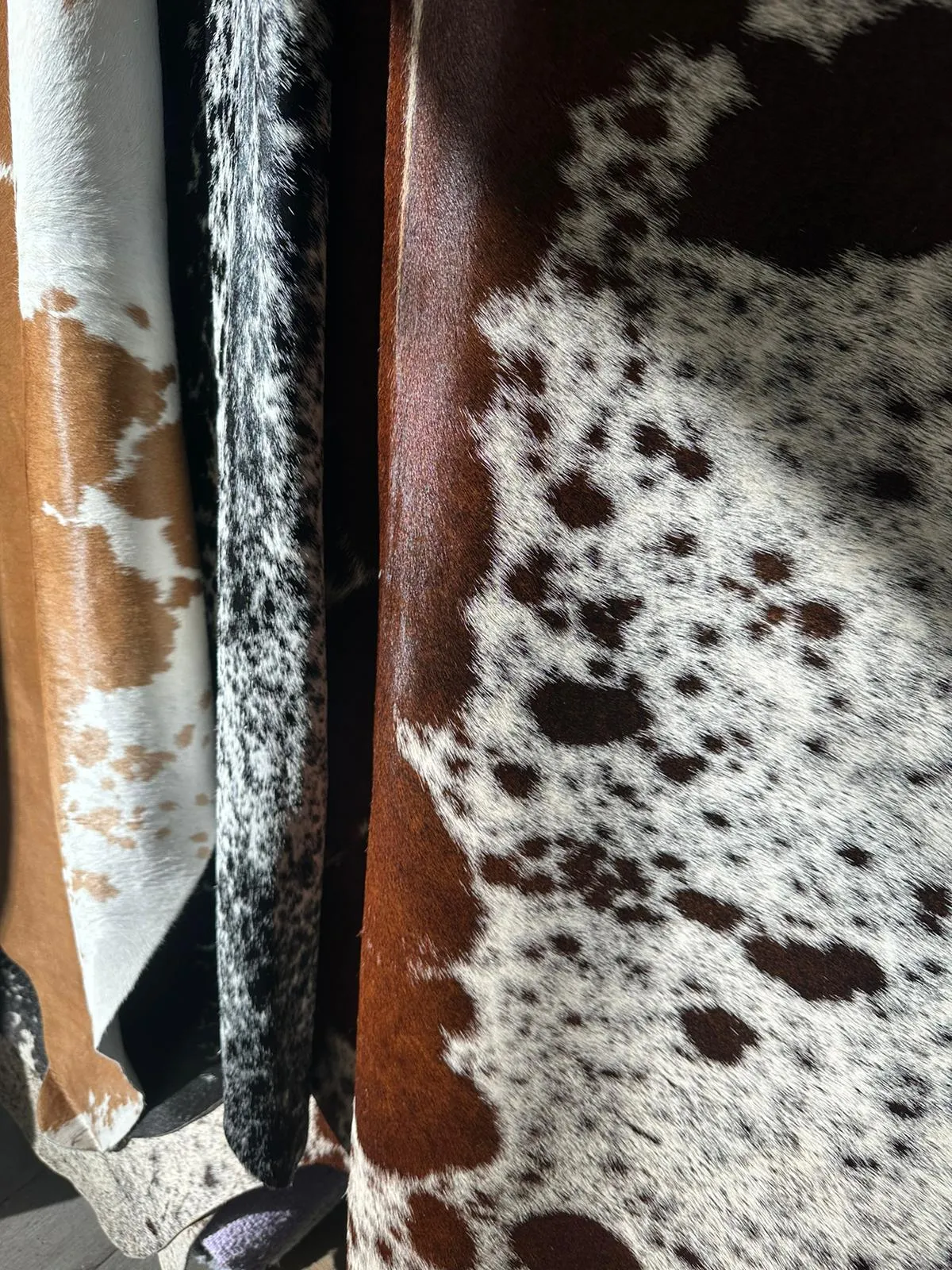 The Ranchero Rug