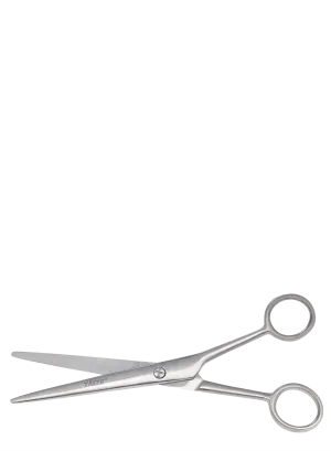 Topline scissor stainless steel