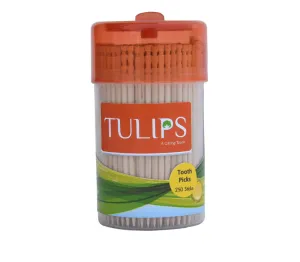 Tulips Wooden Toothpicks in a Jar - 250 Pcs