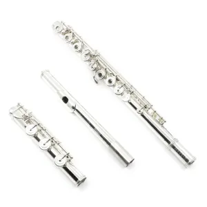 William S. Haynes Handmade Custom Flute in 5% Gold - New