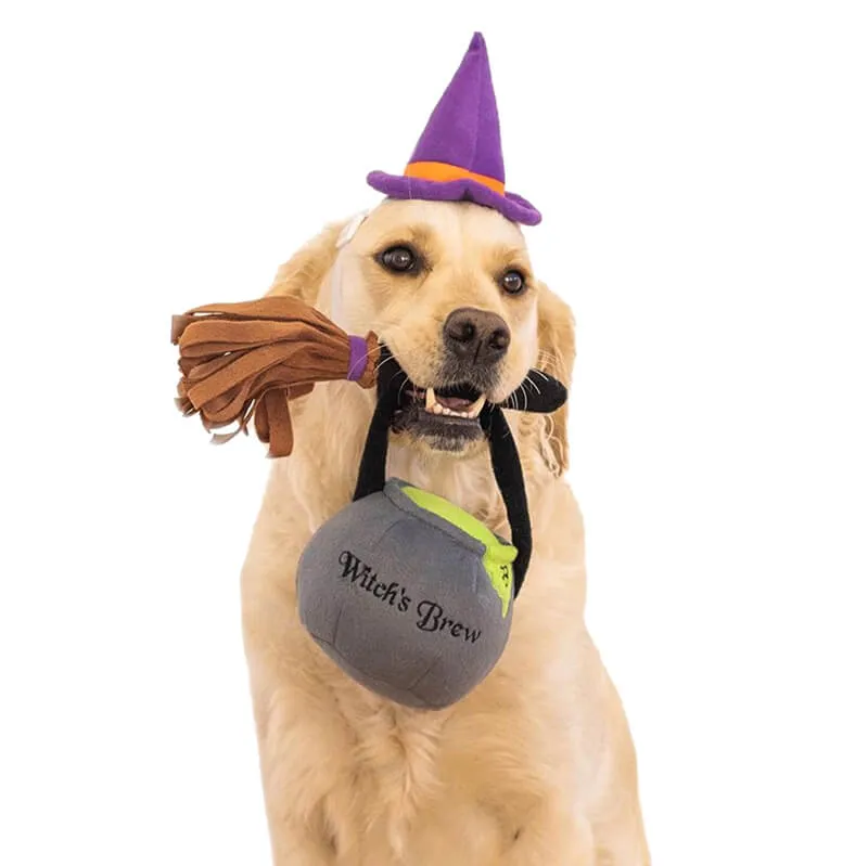 Zippy Paws Halloween Witch Costume Kit
